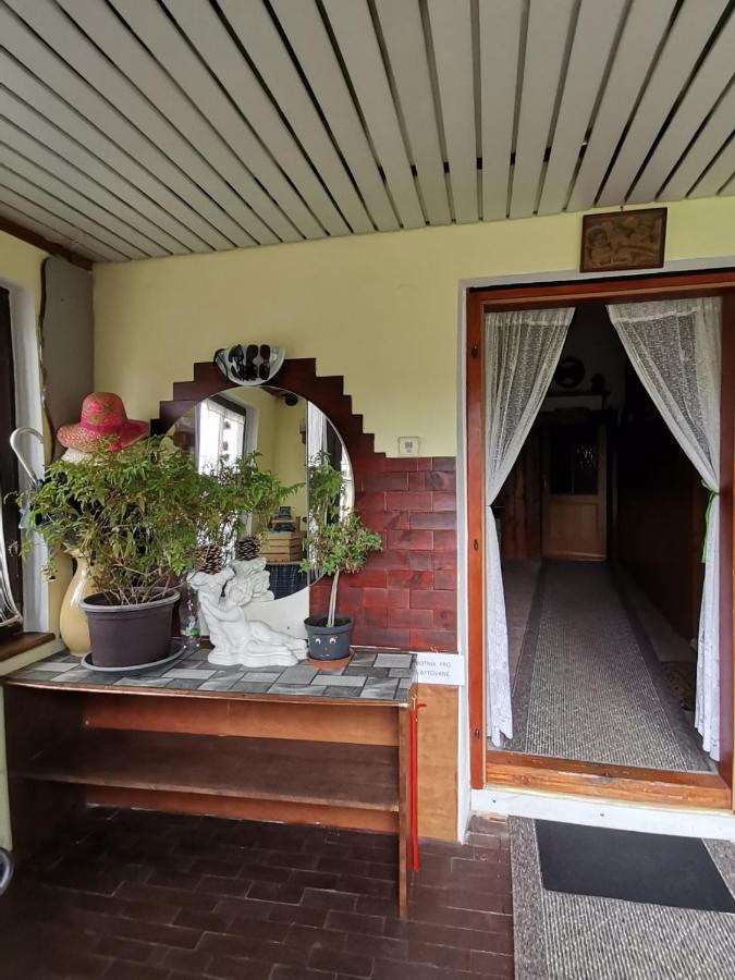 Apartman Ve Mlejne Нова-Бистржіце Екстер'єр фото