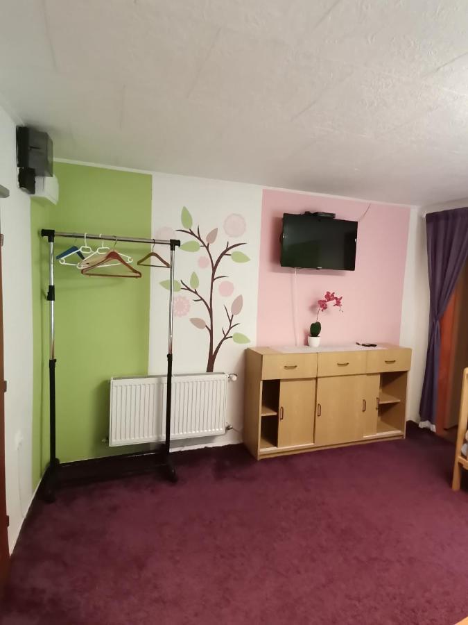 Apartman Ve Mlejne Нова-Бистржіце Екстер'єр фото