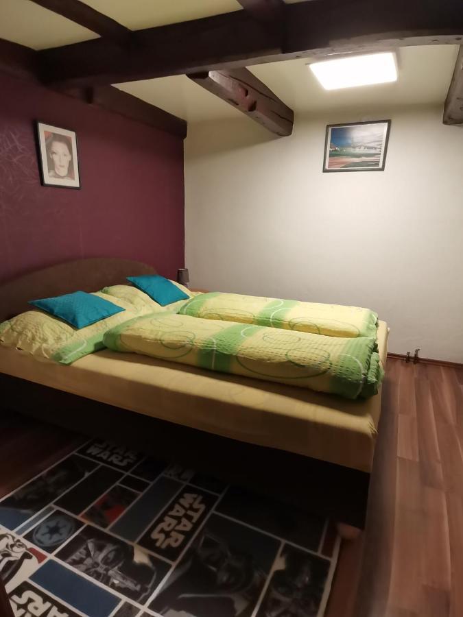 Apartman Ve Mlejne Нова-Бистржіце Екстер'єр фото