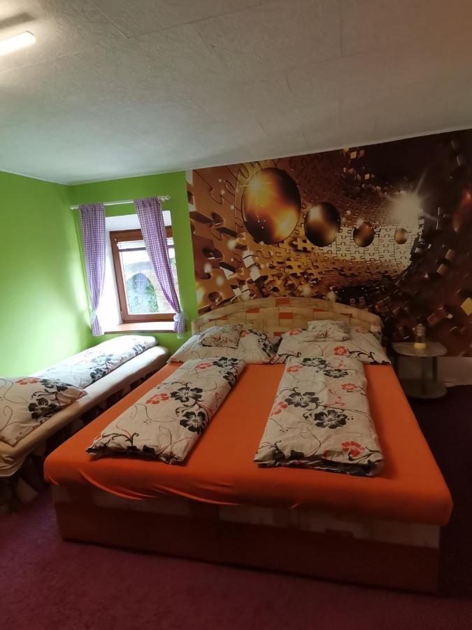 Apartman Ve Mlejne Нова-Бистржіце Екстер'єр фото